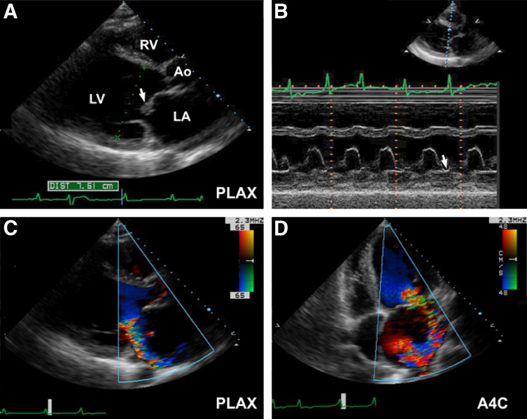 2109210423 2109210423